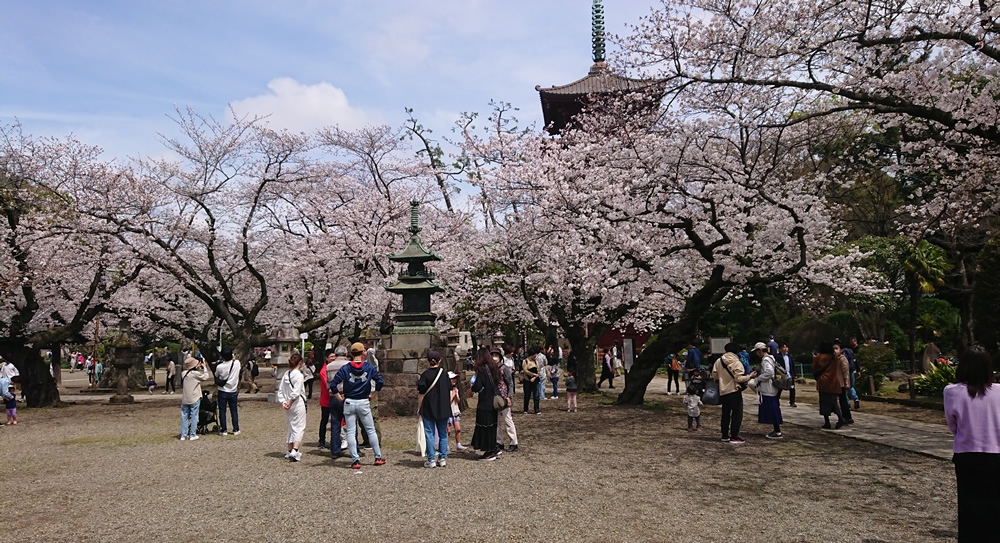 �s��@�@�،o���@�܏d���@��